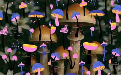 Psihodelične gljive: učinci, doziranje i kako pojačati njihovo djelovanje 🍄